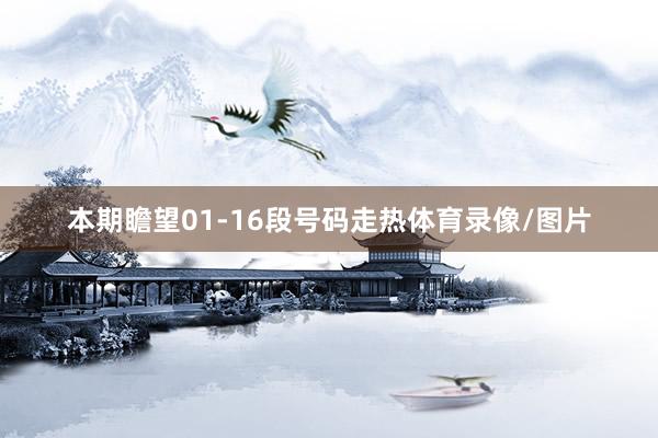 本期瞻望01-16段号码走热体育录像/图片
