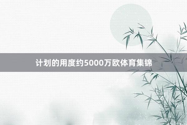 计划的用度约5000万欧体育集锦
