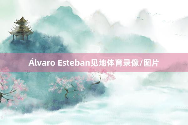 Álvaro Esteban见地体育录像/图片