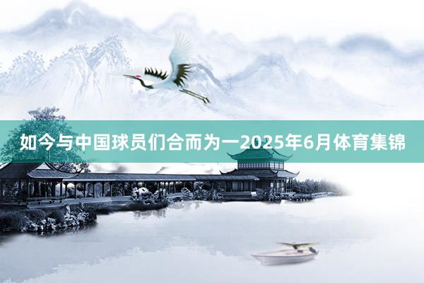 如今与中国球员们合而为一2025年6月体育集锦
