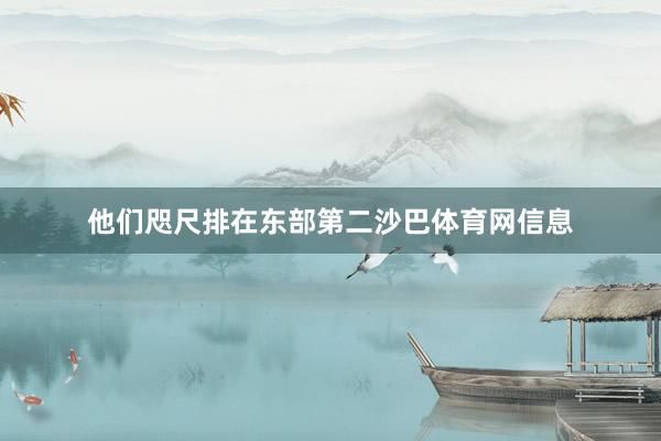 他们咫尺排在东部第二沙巴体育网信息