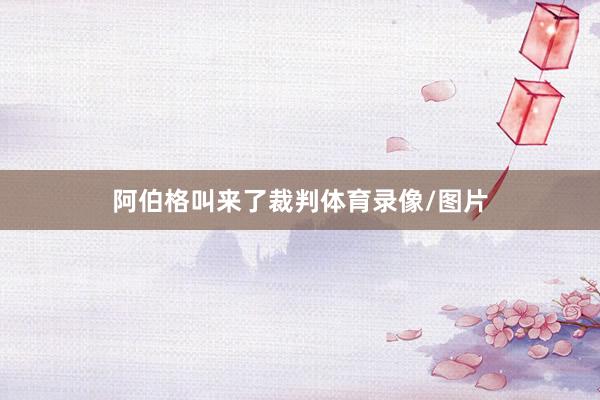 阿伯格叫来了裁判体育录像/图片