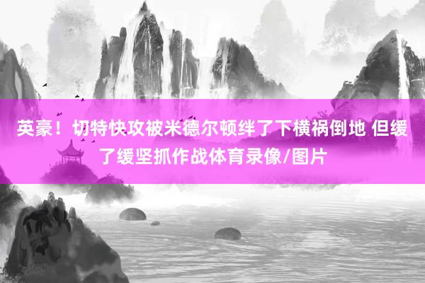 英豪！切特快攻被米德尔顿绊了下横祸倒地 但缓了缓坚抓作战体育录像/图片