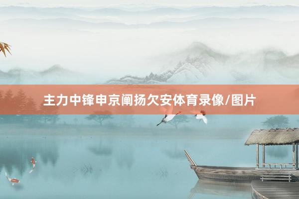主力中锋申京阐扬欠安体育录像/图片