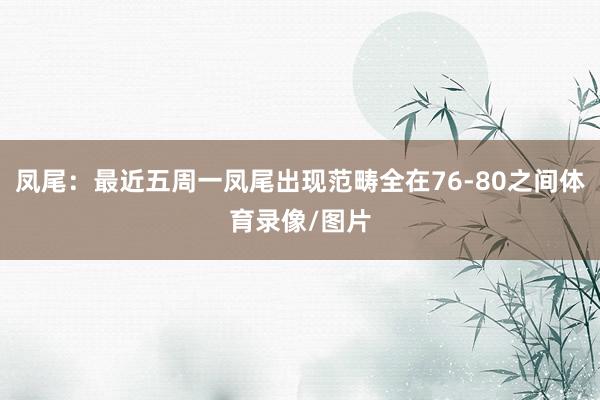 凤尾：最近五周一凤尾出现范畴全在76-80之间体育录像/图片