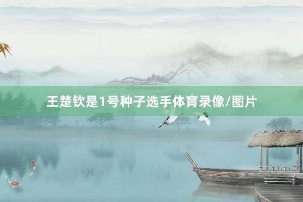王楚钦是1号种子选手体育录像/图片