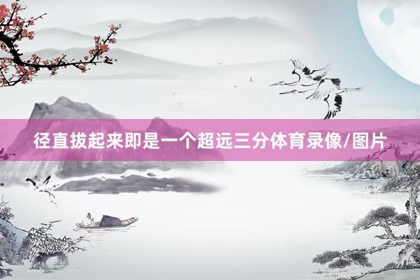 径直拔起来即是一个超远三分体育录像/图片