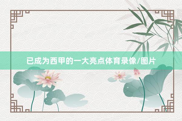 已成为西甲的一大亮点体育录像/图片