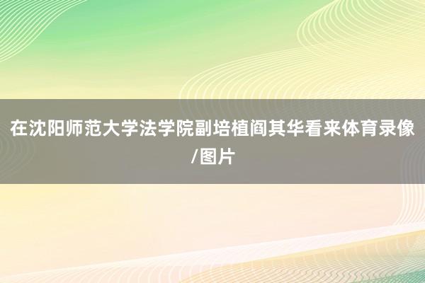 在沈阳师范大学法学院副培植阎其华看来体育录像/图片