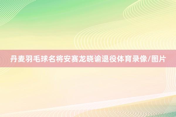 丹麦羽毛球名将安赛龙晓谕退役体育录像/图片