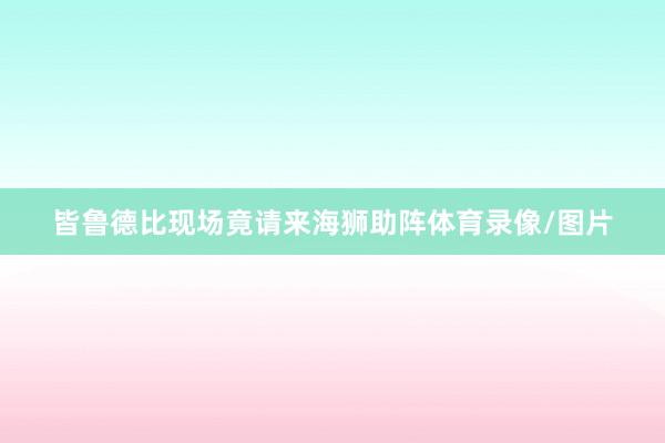 皆鲁德比现场竟请来海狮助阵体育录像/图片